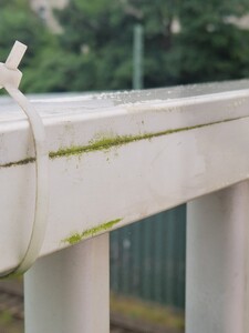 Goldbrücke Schwerin
